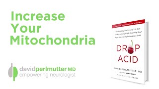 Increase Your Mitochondria, Your Body Will Thank You | The Acid Drop by DavidPerlmutterMD 277,767 views 1 year ago 11 minutes, 7 seconds