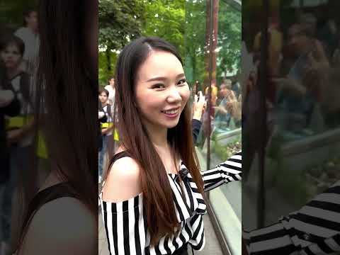 В курсе ребят, что все панды в мире - собственность Китая? #izmetro