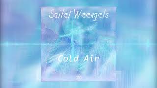 Sailet Weengels - Cold Air (Original Mix)