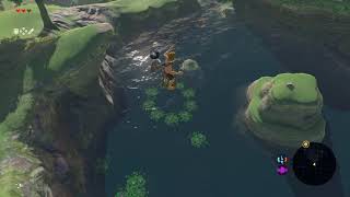 BotW BTBing into a Korok flower circle