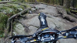 The Pit | McNutt
