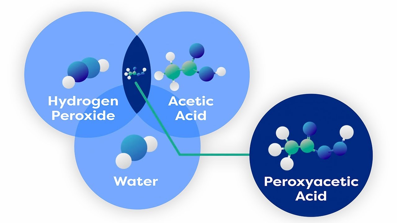 Peroxyacetic Acid Biosafe Systems