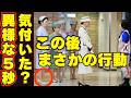 紀子さま全国赤十字大会で雅子さまにやらかしと華子さまと信子さまが驚いたアレ!天皇陛下と愛子さまも養蚕で皇位継承で高市首相に意思表示?