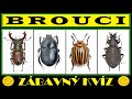 BROUCI | zábavný edukativní kvíz