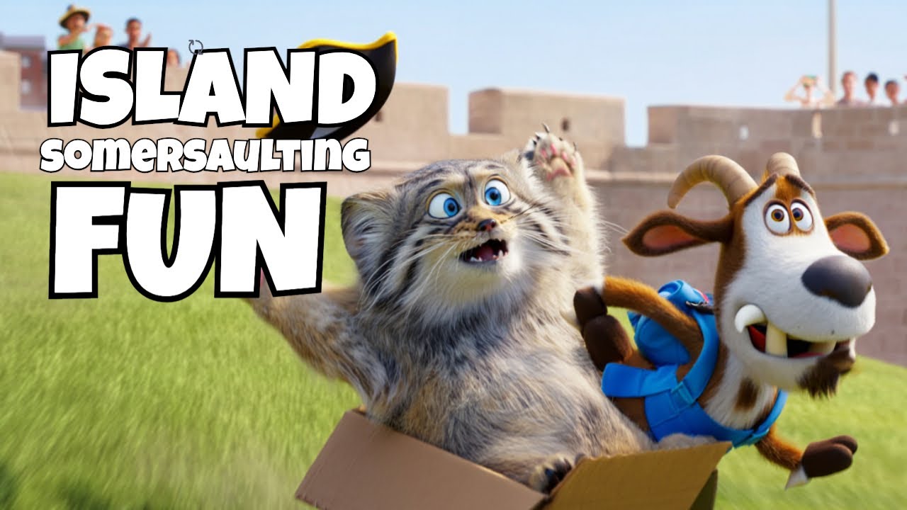 Pallas's Cat Goes Wild in Puerto Rico! 🌴🧳 | Epic Mini Adventure - YouTube