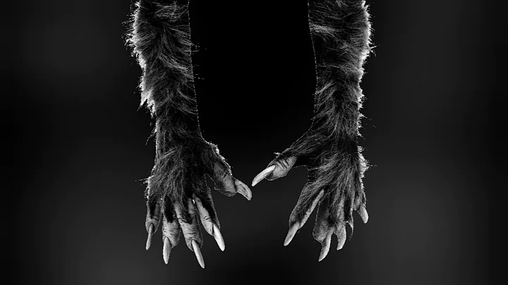 Dogman Connection?