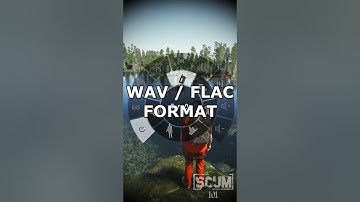 How Do You Play Own Music On Scum - Custom Music Player
