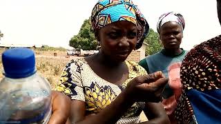 Togo Soil Doctor Training 2 - Aggregate Stability (Slake test)