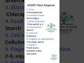 Algae and its Classes Green, Brown and Red Algae | NCERT Plant Kingdom #neet