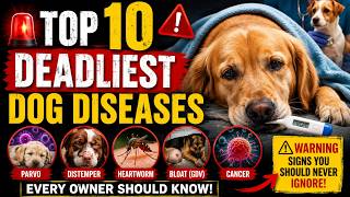 Top 10 Deadliest Dog Diseases Every Owner Should Know | Wuffy Pup #DogHealth #DogDiseases #DogCare
