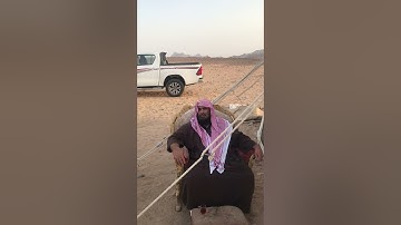 دحيم الحماد 1443هـ سورة القارعة