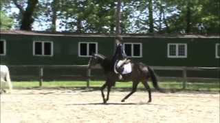 Meet Beacon! First show 5-12-13