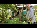 「石垣花壇」が何者かに荒らされてギボウシが消えました！この方？大物です。秋の気配。古民家でコーヒーを淹れてたまには、一息してみました。#田舎暮らし #古民家 #diy