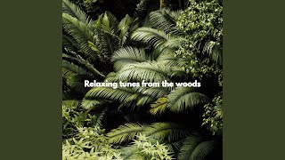 Amazing Ambiance for Supportive Pleasures