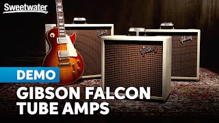 Gibson Falcon Amps: Tube-fueled Icons Soar with New Wings by Sweetwater 12,579 views 3 weeks ago 8 minutes, 36 seconds