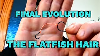 The final evolution of the flatfish hair