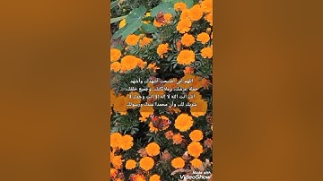 أذكار الصباح ☁️🌞||يحيى حوى