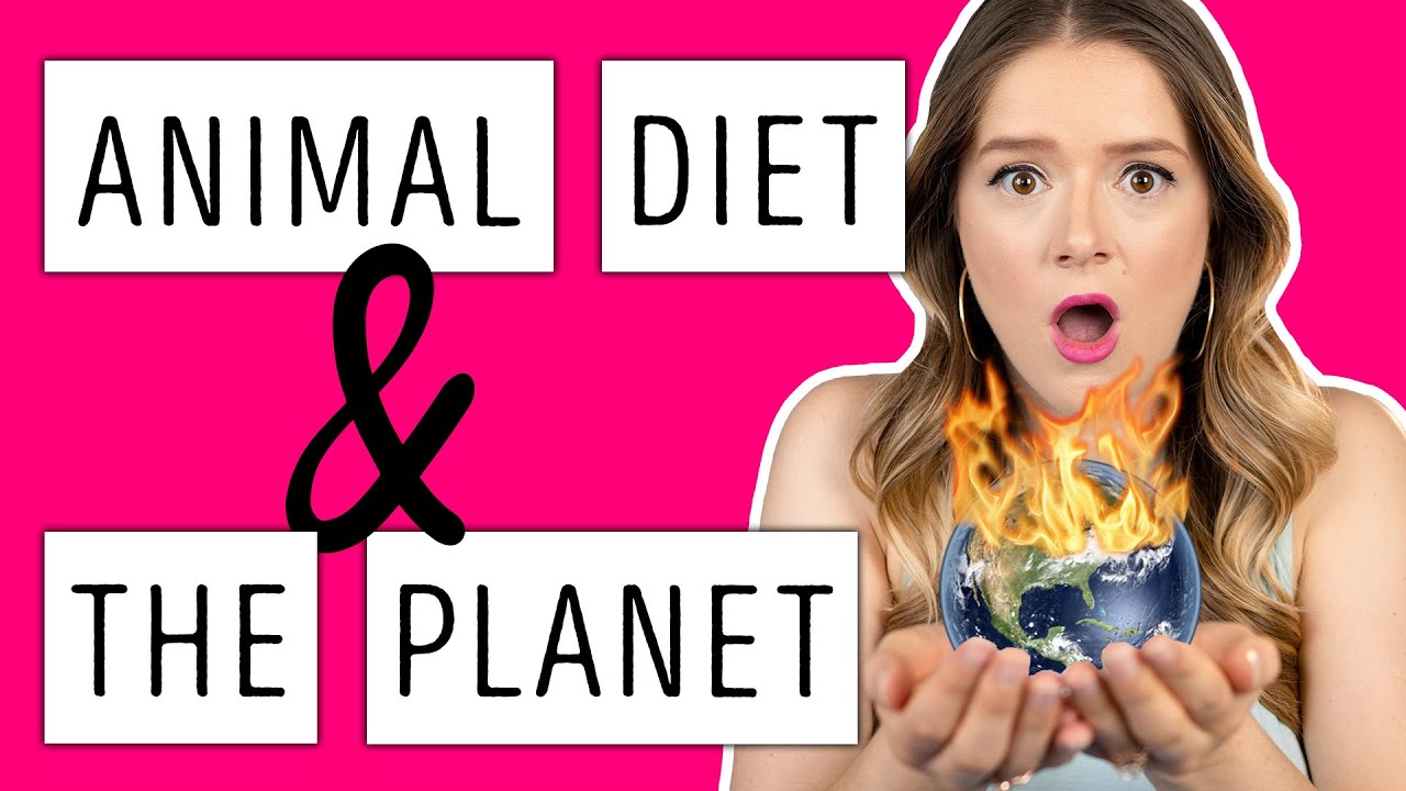 BEST Diet for the Environment  |  Environmental Impact of Animal Agriculture