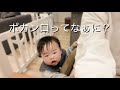 【11ヶ月】虫歯かもしれない…はじめての歯医者/プレゼント開封