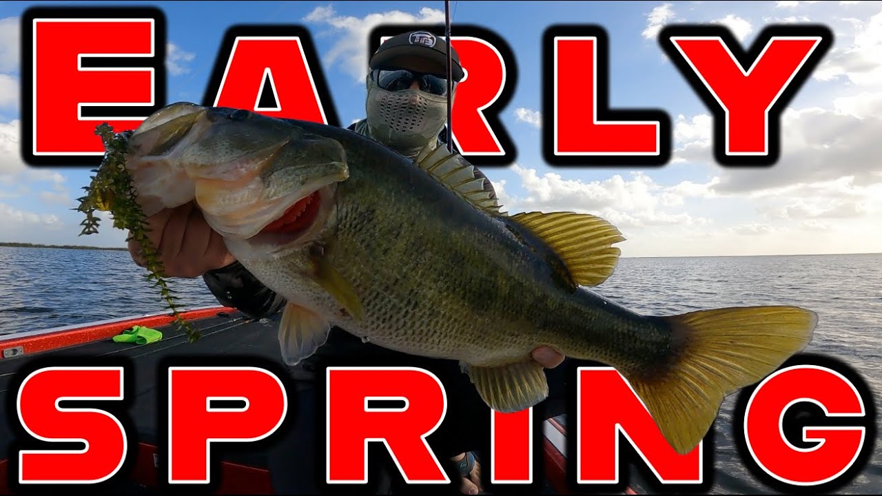Where Do Bass Go In Early Spring? ( Tips For Beginner And Advanced