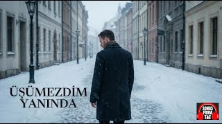 Üşümezdi̇m Yaninda - Karlı Ve Soğuk Bir Kış Gününde Yaşanan Hasret Dolu Bir Aşk Şarkısı