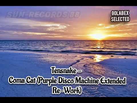 Tensnake - Coma Cat (Purple Disco Machine Extended Re-Work)