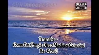 Tensnake  Coma Cat purple Disco Machine Extended Rework