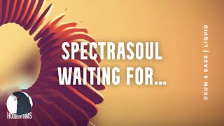 Spectrasoul - Waiting for...