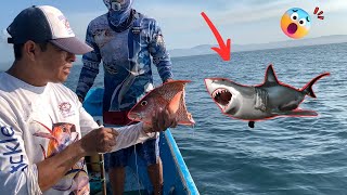 Entraron los Tiburones y nos mocho la simbra INCREIBLE!!