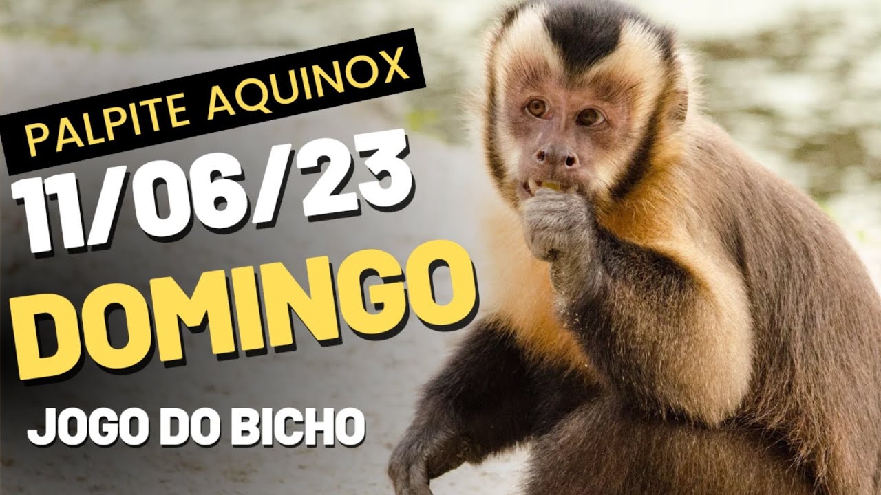 Palpite para o jogo do bicho de hoje 11/06/23 Palpite Aquinox ⭐ Para ...