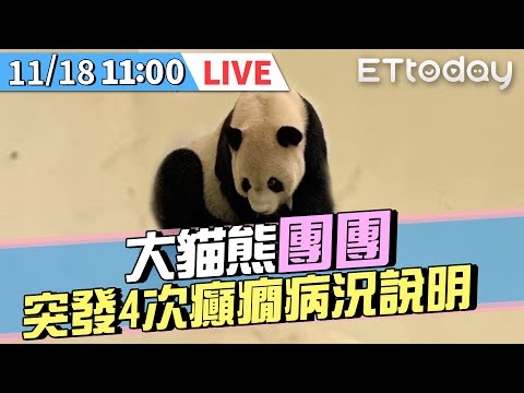 【直播影音】大貓熊「團團」突發4次癲癇病況說明｜臺北市立動物園 Taipei Zoo Panda