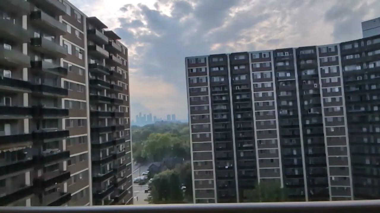 a part of today's live! 