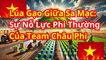 Lúa Gạo Giữa Sa Mạc: Quang Linh Sự Nỗ Lực Phi Thường Của Team Châu Phi