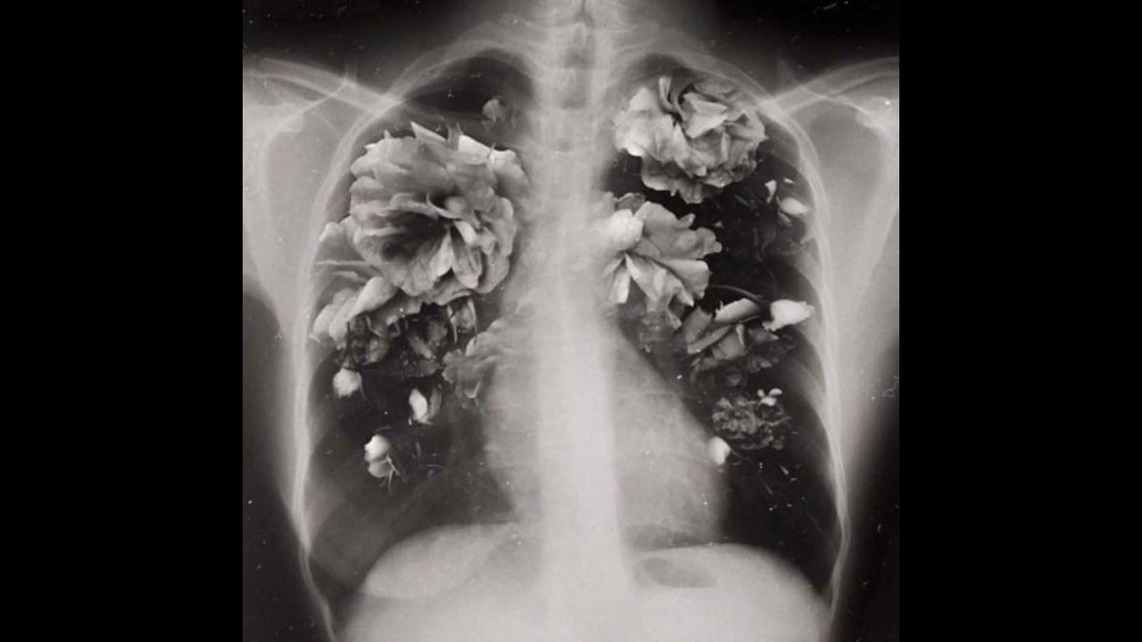 rezerwat - zaopiekuj się mną slowed//reverb