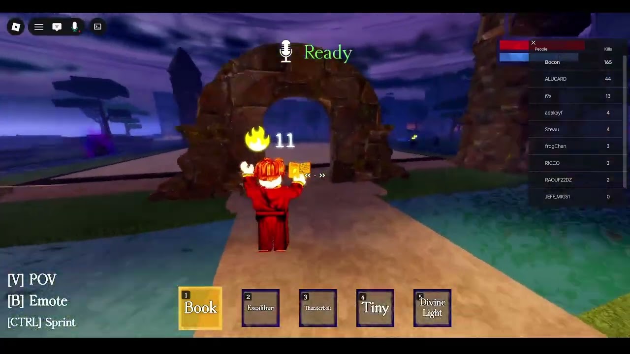 Mage Arena Showcase w Yes4_Real (vc only game)