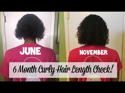 Repeat 6 Month Curly Hair Length Check Natural Hair Growth