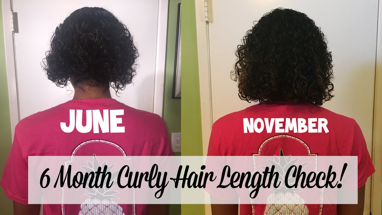 6 Month Curly Hair Length Check! Natural Hair Growth | BiancaReneeToday -  YouTube
