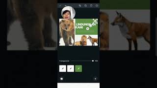 Tutorial Cara membuat kartu pos  dengan Canva