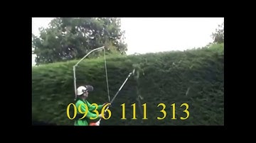 Chế Máy Cắt Cỏ Thành Máy Tỉa Hàng Rào Quá Đẹp