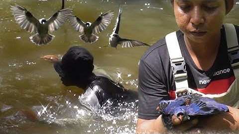 Akibat Panen Rambatan Kameramen Sampai Terjun Sungai