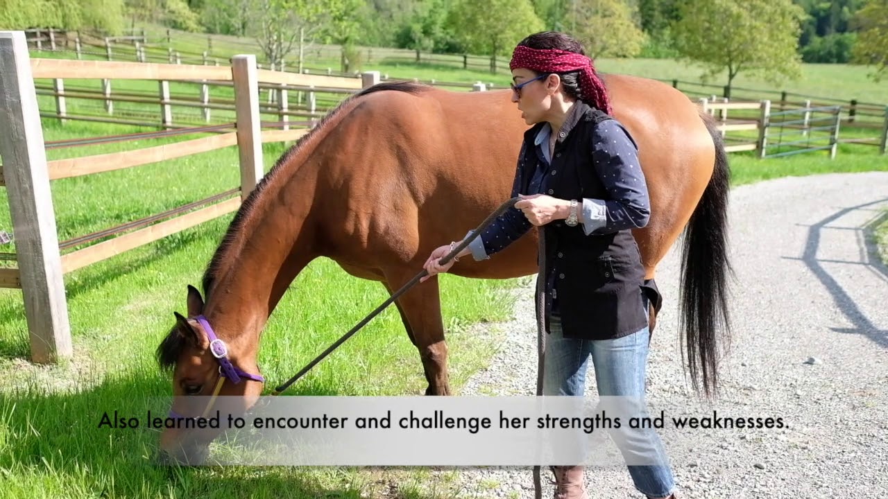 Testimonial Coaching with Horses - Awin