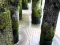 Grande Marée Saint-Malo : Marée Montante dans les Brises-Lames.