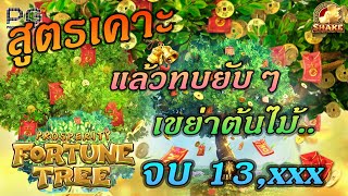 Fortune Tree ต้นไม้ สล็อตpg สูตรเคาะ แล้วทบยับๆ เขย่าต้นไม้ screenshot 3