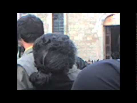 ავთო ჭარხალაშვილის ხსოვნას!!!