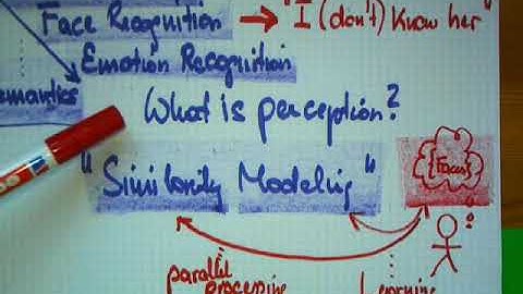 Similarity Modeling Lectures: Seeing and Hearing in Computers (Part 1/10 - SIM1/2): Setting