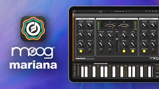 Intro to Moog's NEW Mariana Bass Synthesizer App! screenshot 4