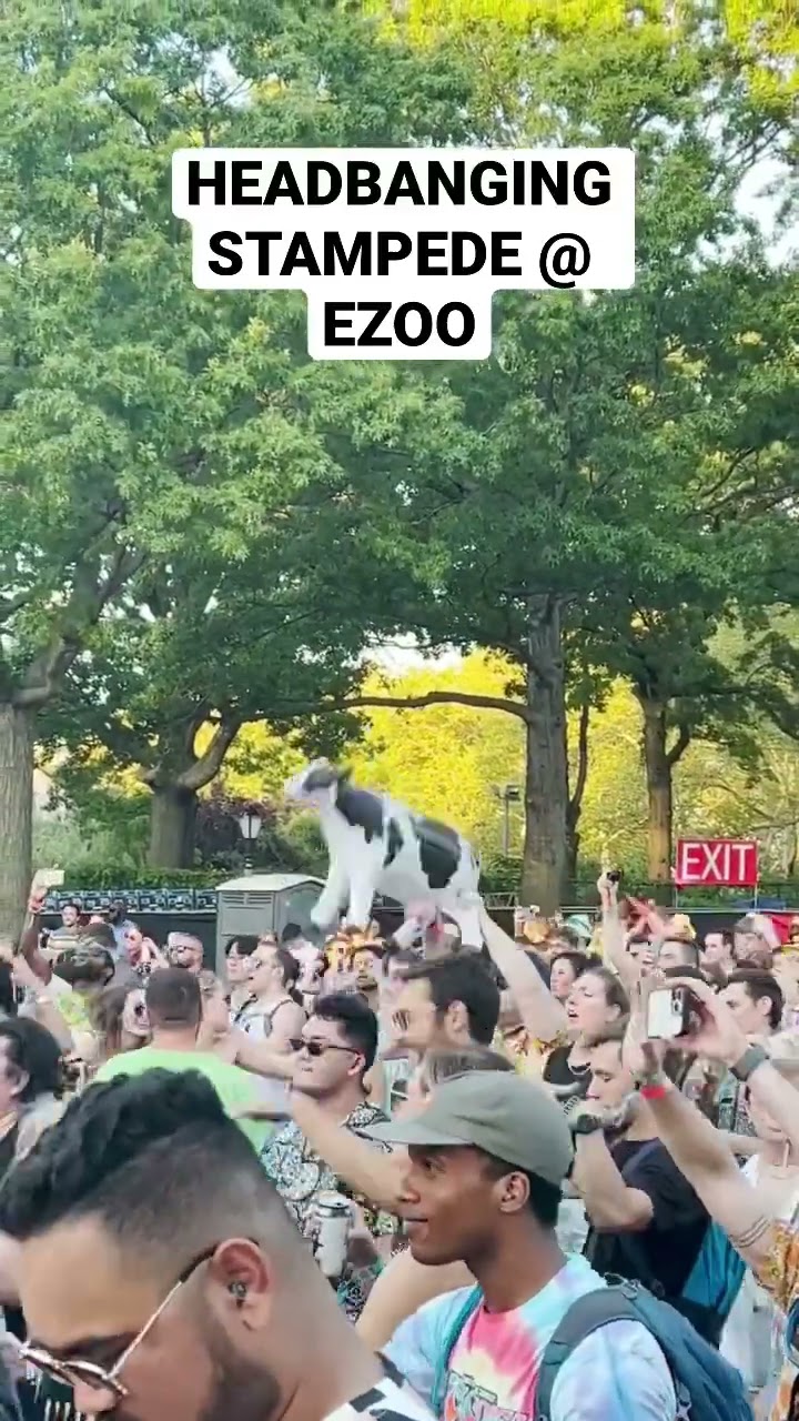 Headbanging Stampede @ EZOO #shorts #rave