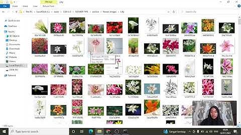 Penerapan Datasheet Kaggle ke Jupyter Notebook - Python - UAS Pengolahan Citra