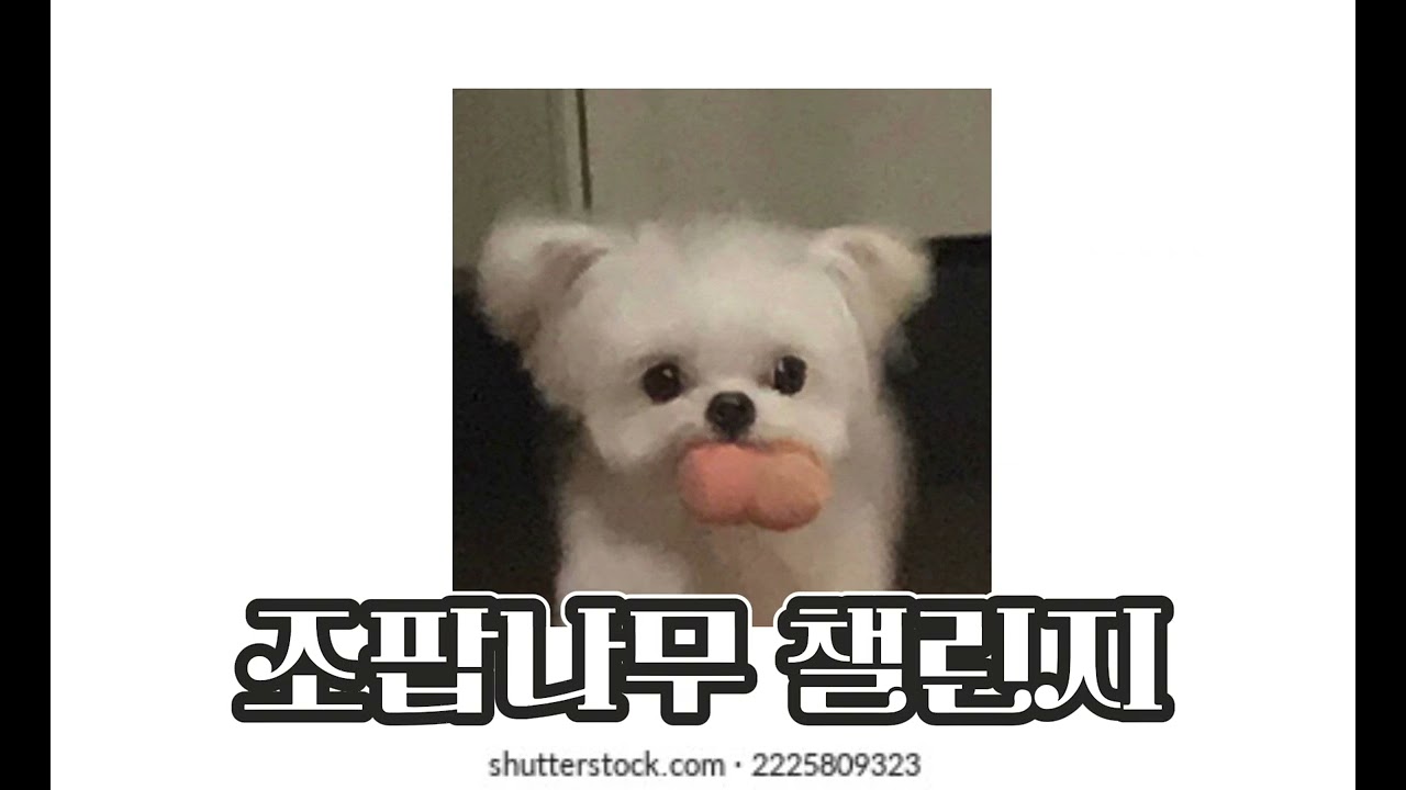 ☆2023~2024/랜덤플레이 댄스/틱톡포함☆