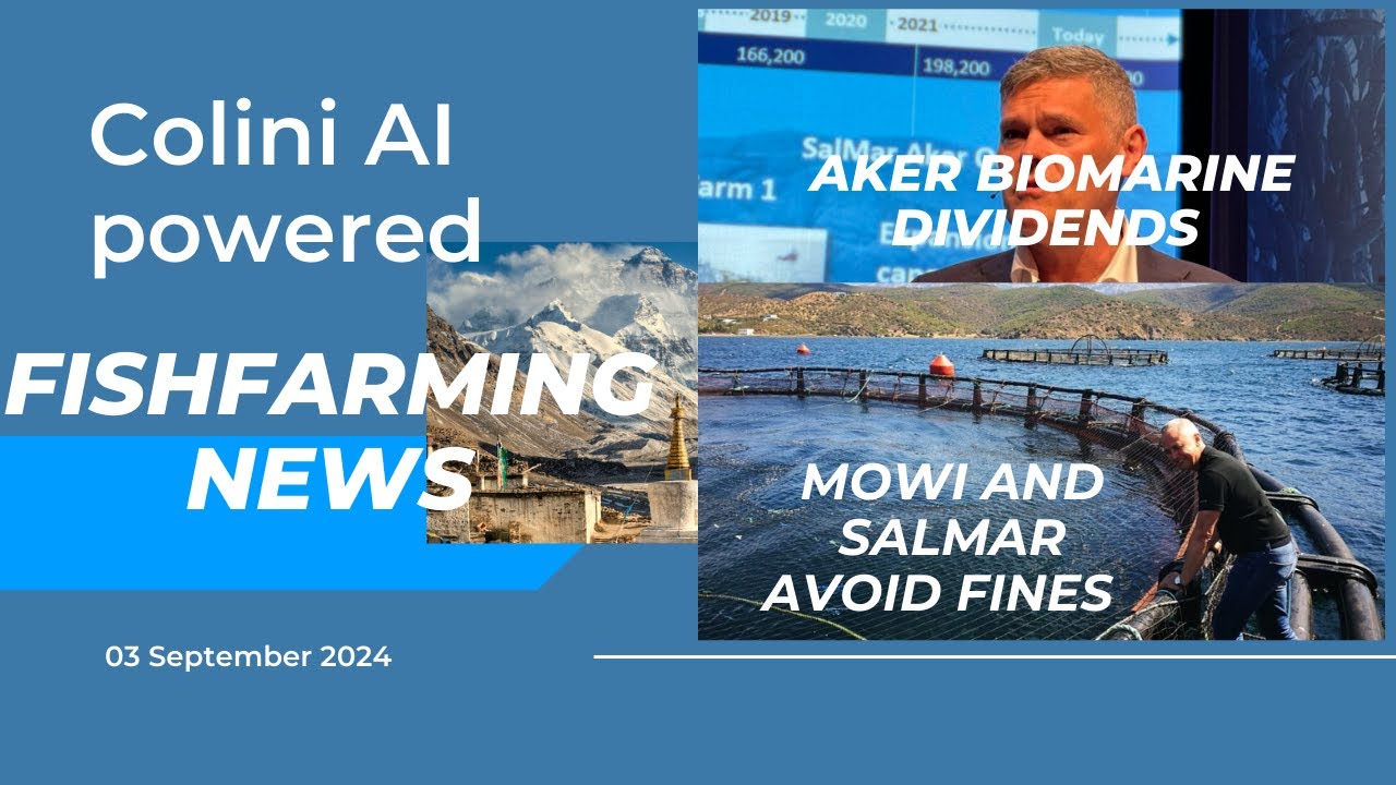 Fish farming news for the 03.09.2024: Salmar Mowi avoiding fines, Aker Biomarine dividends, Måsøval